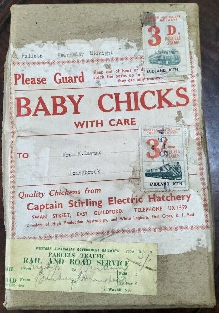 Australia WAGR Railway Parcel Baby Chicks by Rail & Road from Midland Junction to Donnybrook